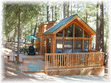 Pinewood Cove Cedar Cabin with Loft